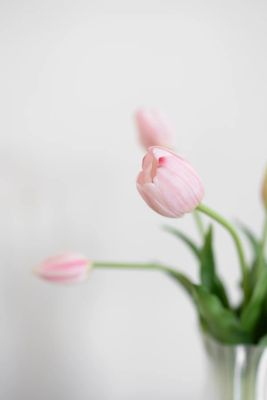  Artificial Single Tulips Pink Bloom